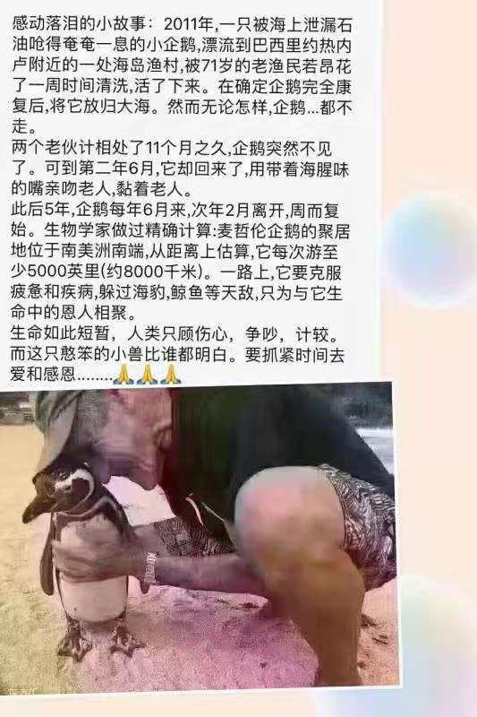 QQ图片20201127090500.jpg